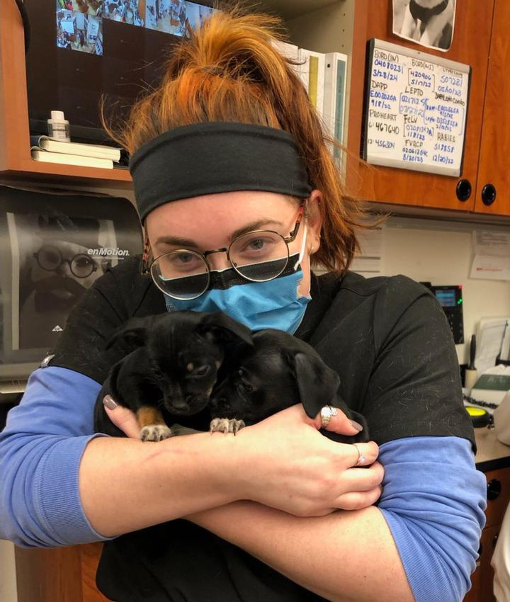 Cat & Dog Veterinarians Experienced Veterinarians in Norwell